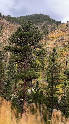 Over the last week, we’ve held events in 9 counties and 12 cities — from Hayden to Fort Collins, Edwards to Kremmling, and many places in between. Every meeting, every conversation with a constituent, every visit to the incredible canyons, mountains, and forests in our district — they all remind me how lucky I am to represent and serve the people of Colorado! 🏔️🏔️🏔️ | Joe Neguse