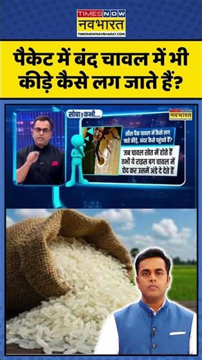 News Ki Pathshala: पैकेट में बंद Rice में भी कीड़े कैसे लग जाते हैं? | #rice #shorts #knowledge