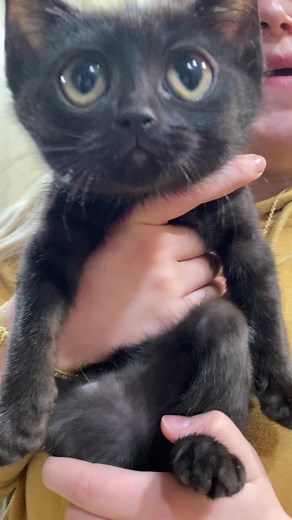 Brigette (@briggy.b)’s videos with original sound - 𝕷𝖊𝖓𝖆