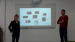 Jet plasma : applications médicales et simulations (Olivier Eichwald, Claire Douat) | Canal U