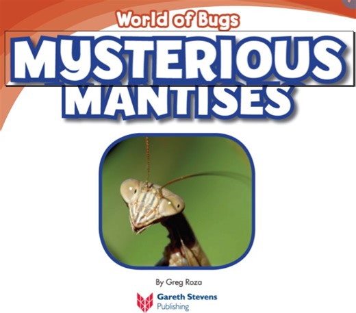 8. How to Draw a Praying Mantis