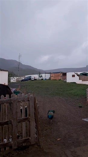 The storm is moving in 😫 at the moment it's just light rain... 🌧 please don't let it get worse 🙏 Please please help us move I can't keep doing this 😔 If you donate one pound, a thousand pounds or anything in-between you are helping to make a difference. ❤️ If you like, share and comment on the posts you are helping to make a difference ❤️ Please donate if you can... share the fundraiser ... help us move the rescue! 6.7k follow this page...... think if all of you helped..... 🥰 👉 click on th