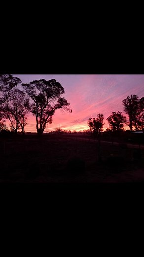 Dora Vendramini on Reels