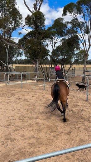 Squatter Coffey Bush Trail Rides on Reels