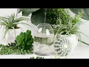 "Good Vibes" Crystal Reed Diffuser