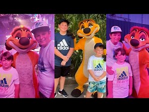 3 Timon From The Lion King Meet & Greets in Animal Kingdom & Hollywood Studios at Disney World