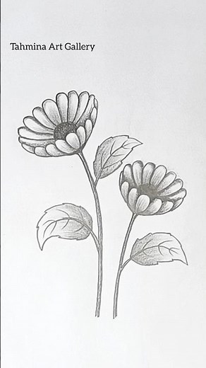 Beautiful Daisy flower drawing technique #Shorts #PencilSketch #Art #Tranding