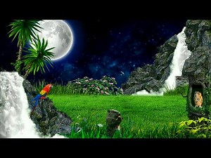 4K Nature Background HD || Jungle Background Effects