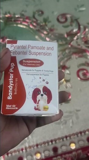 Bandystar Pup Deworming your dog #trending #viral #short ❤️