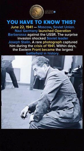 Operation Barbarossa Opened the Largest Front in History #shorts #history