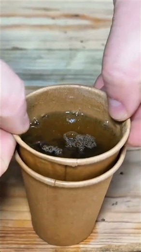 Genius Paper Cup Hack to Make a DIY Tea Strainer! ☕🍃
