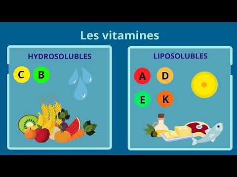 Bases de la nutrition - Les micronutriments