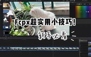 干货｜新手一定要知道的Fcpx六个实用小技巧