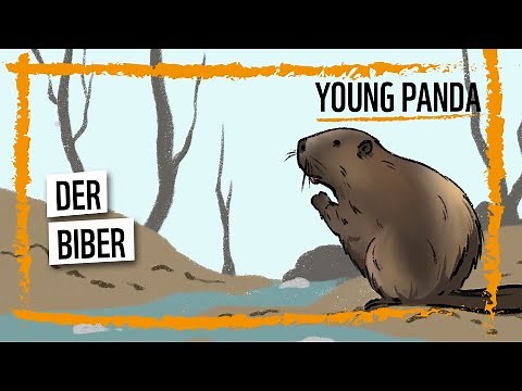 Der Biber - Ein begnadeter Baumeister