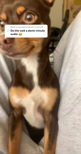 Wait a Damn Minute Sound Effects Compilation