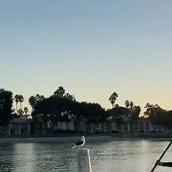 Nevin Harrison on Instagram: "and we’re back"