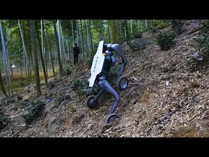 云深处科技“山猫”：突破极限的全地形越野机器人！DEEPRobotics "Puma" : The Ultimate All-Terrain Off-Road Robot