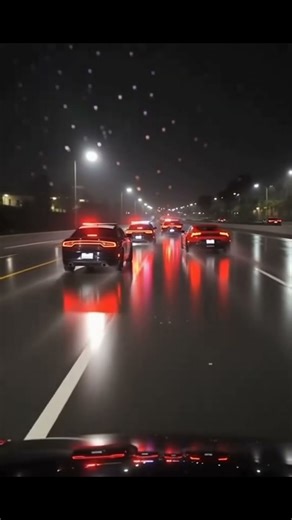 When Cars Get Silly! 🤣