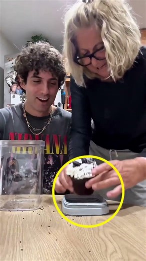 He's a disgrace to his GRANDMOTHER! #curious #amazing #interesting