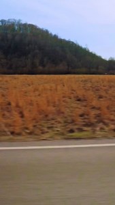 396 reactions · 156 comments | ride until the wheels fall off  | Austin Mahone | Facebook