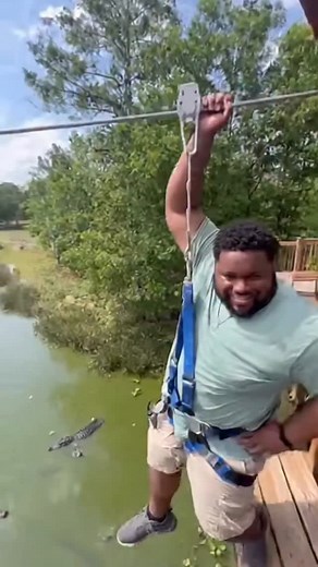 11K views · 496 reactions | Zip lining over a lake with alligators is insane  #ziplining #ziplineadventure #ziplinefun | Sumogrowth AI Mayhem | Facebook