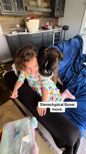 Thse dogs are the best 🩷 #boxersoftiktok #boxer #boxers #boxerdog #boxerpuppy