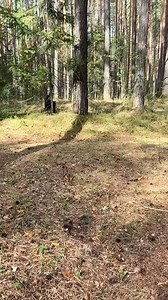 Crazy game 😂 | Luna_the_pantera