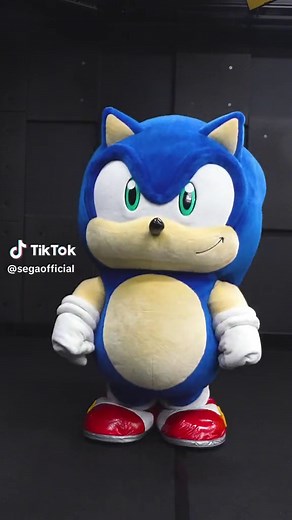 Sonic Jumping 🦔 Video