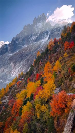 It’s easy to see why many clients fall in love with Chamonix. Stunning in every season, the valley glows with golden forests and crisp mountain air in autumn, while winter transforms the French Alps into a sparkling snow-covered wonderland perfect for skiing, snowboarding and winter hiking. Keep an eye out for alpine wildlife, from chamois and ibex to colourful birds. A visit to Aiguille du Midi is unforgettable. Take the cable car from Chamonix up to 3,842 metres for panoramic views of Mont Bla