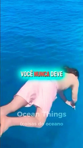 A Barracuda tem o ataque mais brutal do oceano!