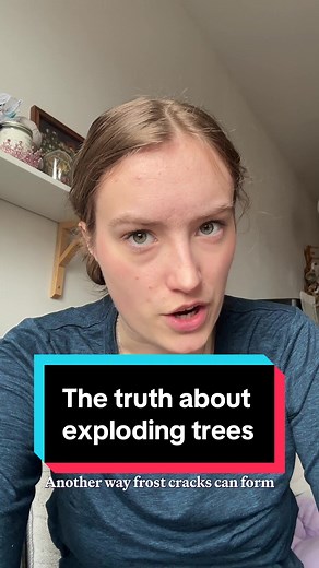 Understanding the Phenomenon of Exploding Trees