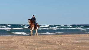White caps compared to the calm lake yesterday! | Sandy Acres Clydesdales