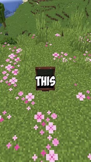 suitcase with a pocket dimension | mod - Pocket Repose by BennyBoops #minecraft
