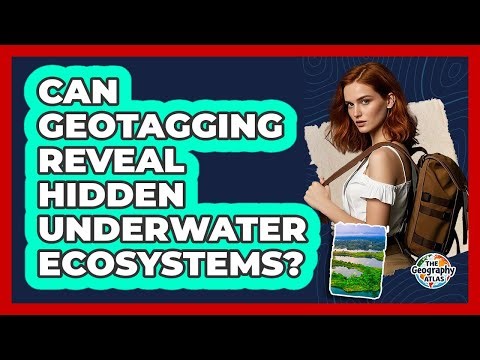Can Geotagging Reveal Hidden Underwater Ecosystems? - The Geography Atlas