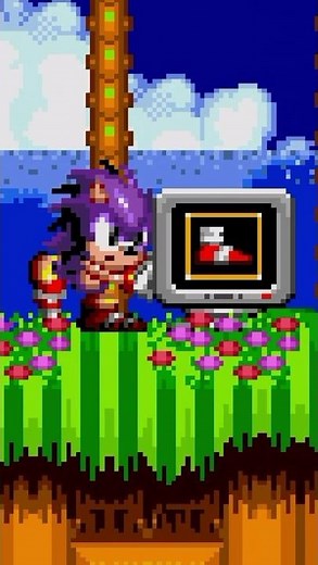 Pana der Hejhog Returns in Sonic 2 Absolute?! 🔥 Sonic 2 Absolute Mods Shorts #sonicshorts