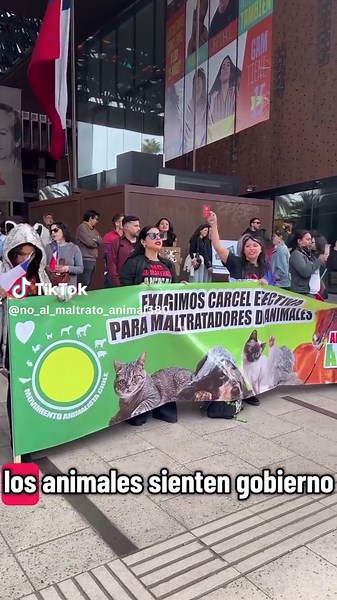 #ayudalosanimales #noalamaltratoanimal