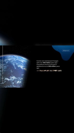 Octopus Evolution: Did They Evolve on Earth?