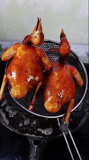 Delicious Pigeon Cooking Tips and Recipes