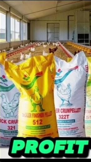 Start Layer Poultry Farming | Egg Business for Beginners