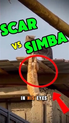 Scar vs Simba |#shorts #viral #shortvideos #thelionking