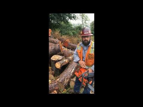 How To Cut Dirty Firewood (And Keep Your Chain Sharper For Longer)