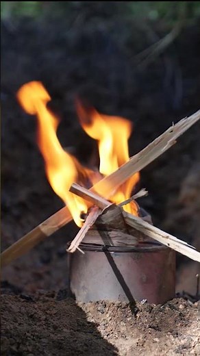 Birch Tar - Nature’s Wood Stain, Sealer, Insect Repellent and More #primitiveskills #survivalskills