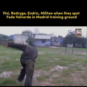 Falcon in danger | Football VARPosting