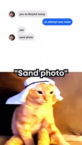 “Sand photo” 🗣️ #meme #memes #sand #rizz #cat | Kadz