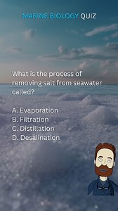 104K views · 3.6K reactions | Marine Biology Quiz | Are You a Marine Biology Enthusiast? Take Our Quiz and Find Out!  | #marinebiology #marine #biology #quiz #ocean #oceanlife #aquaticlife #education #school #knowledge #learning #quiztime #trivia #facts #brainteaser #fbreels #reelsfb #reels #fyp #quizbee | Quizzy Bee | Facebook