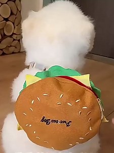 Cat Puppy Costume Vest Harness Adjustable H-Shape Leash with Detachable French Fry Burger Backpack for Cat Small Dog (Burger set2,X-Large)