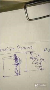 Class 11 Chemistry | Reversible Process Explained Easily 🔥 | Thermodynamics Basics