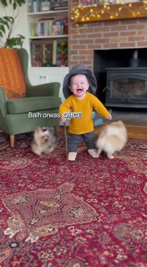 Wizard Baby Makes the Dogs Go Wild! 🪄👶🐶