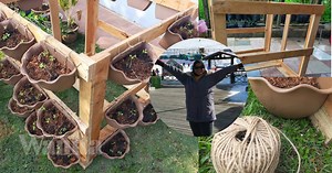 DIY Pasu Gantung Bajet, Tanam Sayur Boleh…Tanam Bunga Pun Cantik!