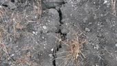 drought cracked and splitting fields, arid fields, drought-stricken...